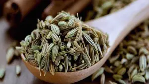 عرضه رازیانه در بورس کالا با اجرای طرح اتصال نهایی میشود — سرمایم