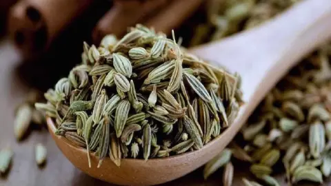عرضه رازیانه در بورس کالا با اجرای طرح اتصال نهایی می‌شود — سرمایم